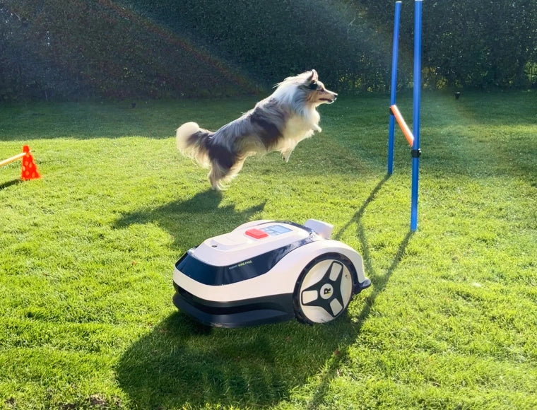 A Summary of Expert Reviews: What Tech Media Are Saying About Raccoon 2 SE