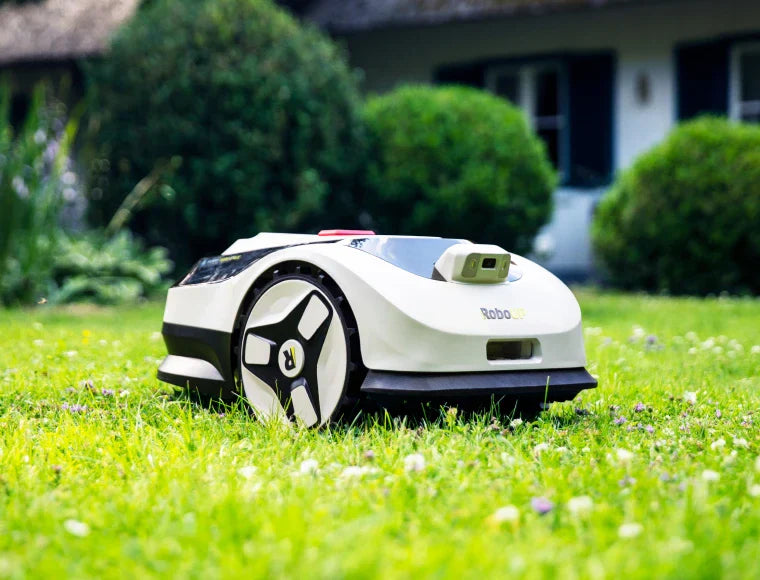 One Less Thing to Worry About: How Raccoon 2 SE Helped Me Cope with Anxiety