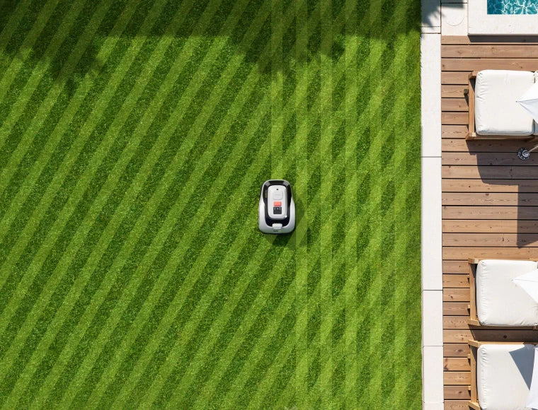 Raccoon 2 SE Just Got Upgraded with Full-Map Parallel Mowing — Finishing Lawns in Half the Time, Fully Striped