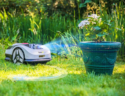 Raccoon 2 SE Reviewed by Basic Tutorials: A Smart, Wire-Free Robot Mower for Small Gardens