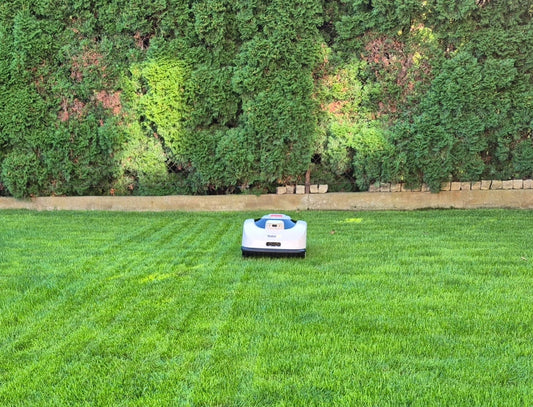 Raccoon 2 SE: From 80m² to 600m² of Striped Parallel Mowing Across the Entire Lawn