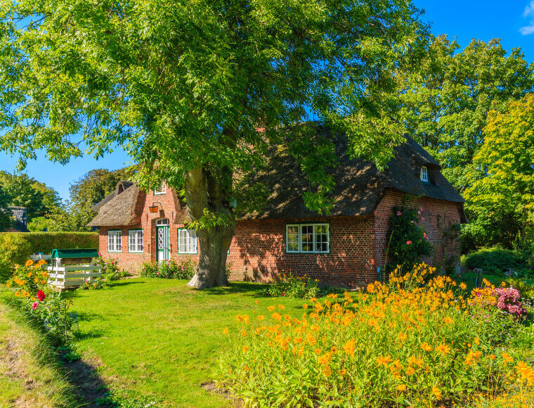 The Secret Behind Northern German Gardens’ Love for Simplicity